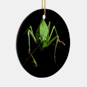 Katydid Keramisch Ornament (Rechts)