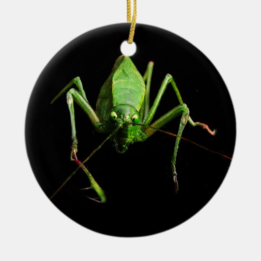 Katydid Keramisch Ornament (Voorkant)