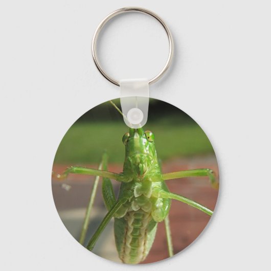 Katydid ~ sleutelhanger (Voorkant)