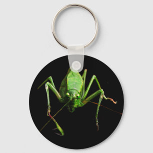 Katydid Sleutelhanger