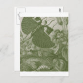 Katydids Briefkaart (Voorkant / Achterkant)