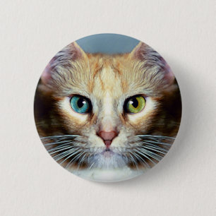 Katz Ronde Button 5,7 Cm