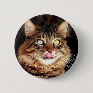 katz ronde button 5,7 cm