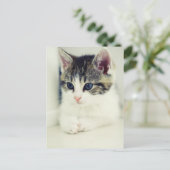 katze briefkaart (Staand voorkant)