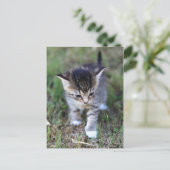 Katze Briefkaart (Staand voorkant)