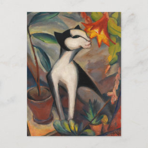 Katze mit Kakteenblute van Maetzel-Johannsen Briefkaart
