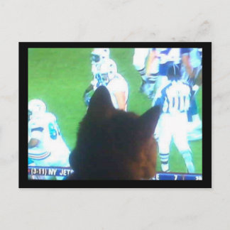 katzen brauchen fuchtbar viel tv! briefkaart