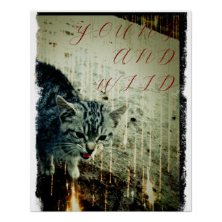 Katzen Poster - Young and Wild Perfect Poster