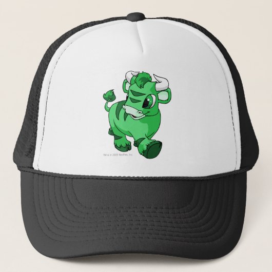 Kau Green Trucker Pet (Voorkant)
