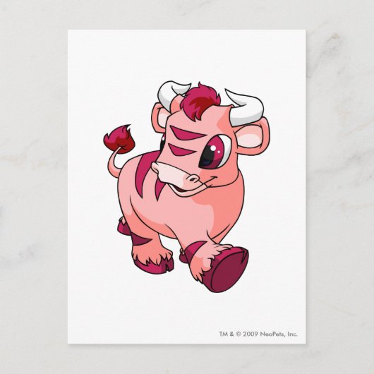 Kau Pink Briefkaart (Voorkant)