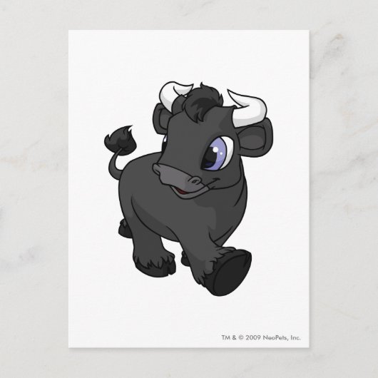 Kau Shadow Briefkaart (Voorkant)