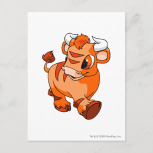 Kau Sinaasappel Briefkaart