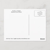 Kauai - De pier in Hanalei Briefkaart (Achterkant)