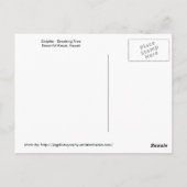 Kauai - Dolphin Breaking Free Briefkaart (Achterkant)