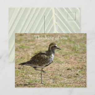 Kauai Hawaii Bird on Grass Denken aan jou Briefkaart