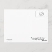 Kauai, Hawaii Briefkaart (Achterkant)