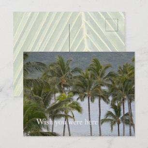Kauai Hawaii Lihue Palm Trees Ocean Briefkaart
