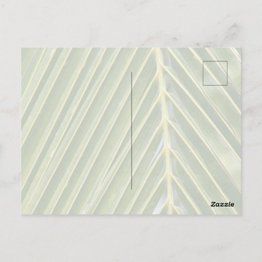 Kauai Hawaii Lihue Palm Trees Ocean Briefkaart (Achterkant)