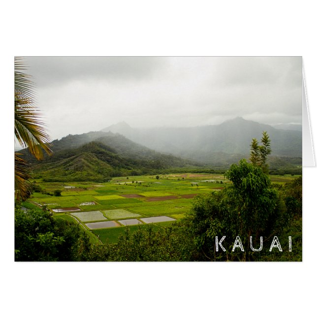 Kauai, Hawaii · Lush Fields · Landschapsscène (Voorkant Horizontaal)