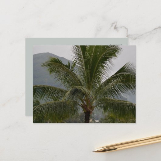 Kauai Hawaii Palm Tree Briefkaart (Voorkant / Achterkant in situ)