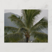 Kauai Hawaii Palm Tree Briefkaart (Voorkant)
