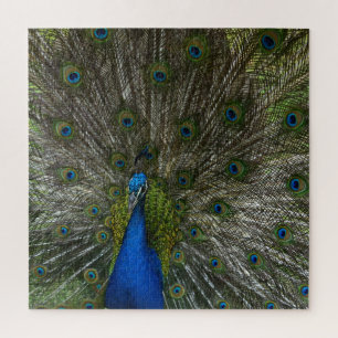 Kauai Hawaii Peacock Feathers Legpuzzel
