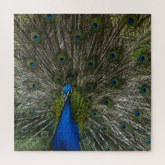 Kauai Hawaii Peacock Feathers Legpuzzel (Verticaal)