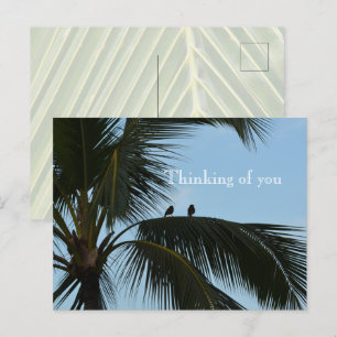 Kauai Hawaii Vogels in Palm Tree Briefkaart