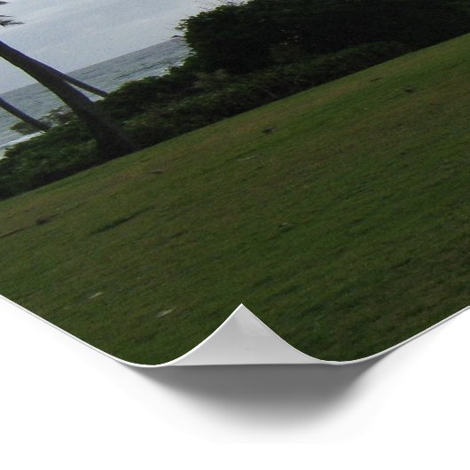 Kauai Palm Poster (Hoek)