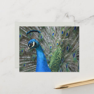 Kauai Pauwveren Briefkaart