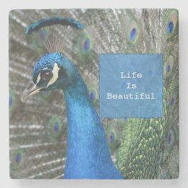 Kauai Peacock Feathers Stenen Onderzetter