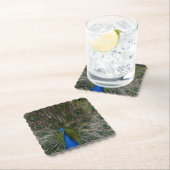 Kauai Peacock Kartonnen Onderzetters (Insitu)