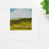 Kauai Rainbow (Bureau)