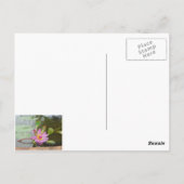 kauai-regenboog briefkaart (Achterkant)