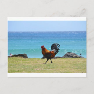 Kauai rooster briefkaart