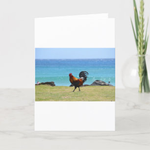 Kauai rooster kaart