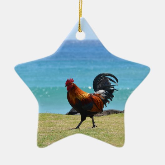 Kauai rooster keramisch ornament (Voorkant)