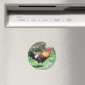 Kauai Rooster Magnet Magneet (Insitu (Vaatwasser))