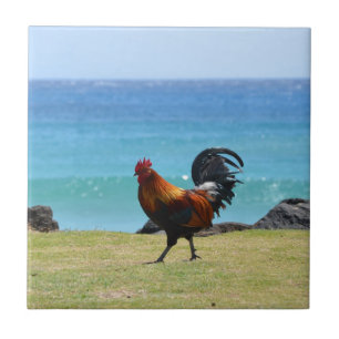 Kauai rooster tegeltje