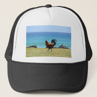 Kauai rooster trucker pet