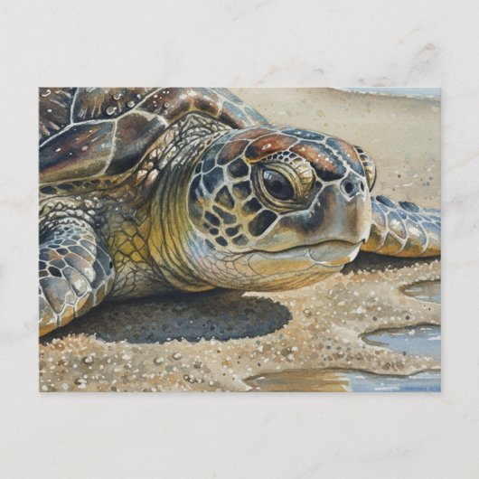 Kauai Sea Turtle Close up Briefkaart (Voorkant)