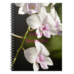 Kauai Witte Roze Orchideeën (foto genomen door mij Notitieboek