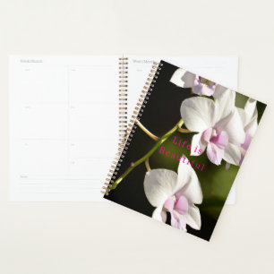 Kauai Witte Roze Orchideeën (foto genomen door mij Planner
