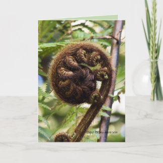 Kauri Forest Fern Kaart
