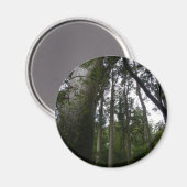 Kauri Forest Magneet (Voorkant / Achterkant)