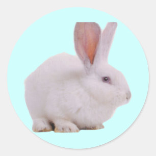 Kawaii Cute Bunny Ronde Sticker