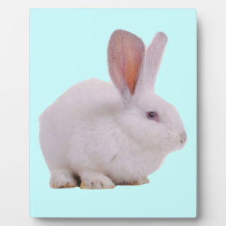 Kawaii Cute Konijn Konijn Fotoplaat
