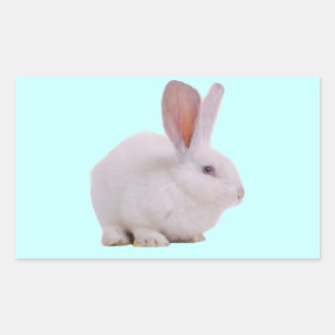 Kawaii Cute Konijn Konijn Rechthoekige Sticker