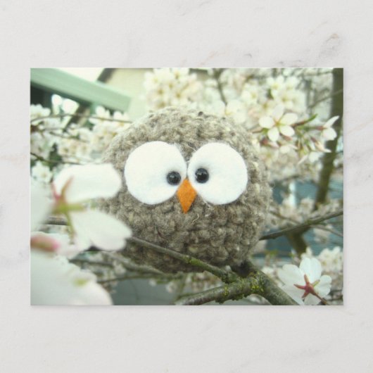 Kawaii Oliver the Owl Briefkaart (Voorkant)