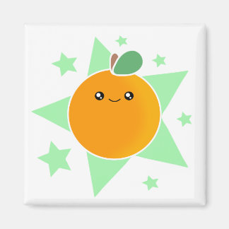 Kawaii Oranje fruitmagneet Magneet